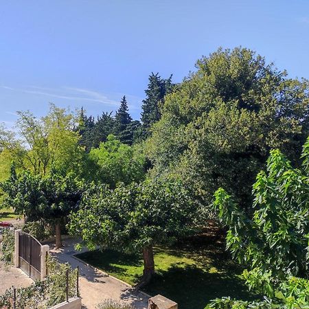 Mas Provencal Au Coeur Des Vergers Vallabrègues Exterior foto