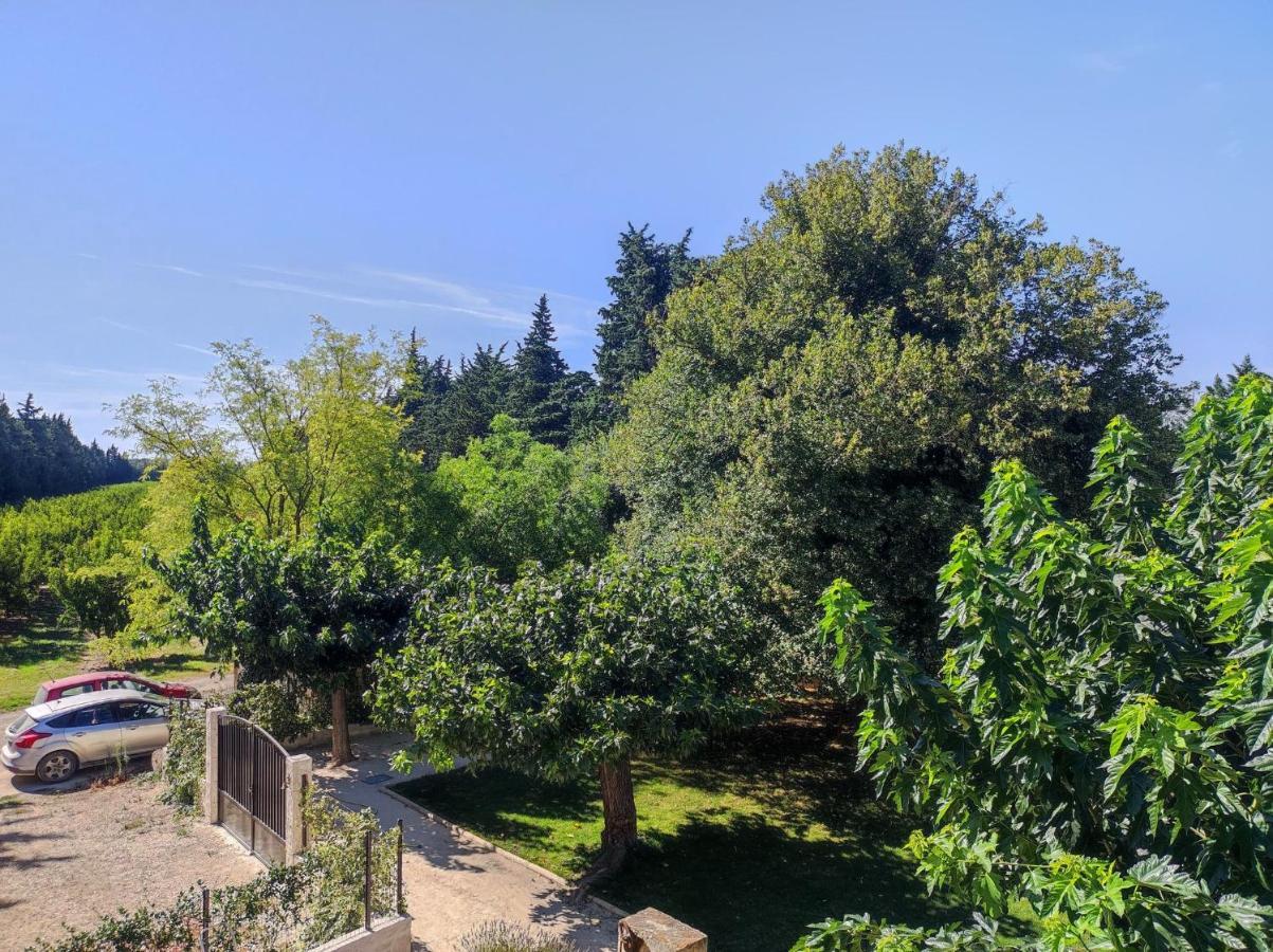 Mas Provencal Au Coeur Des Vergers Vallabrègues Exterior foto