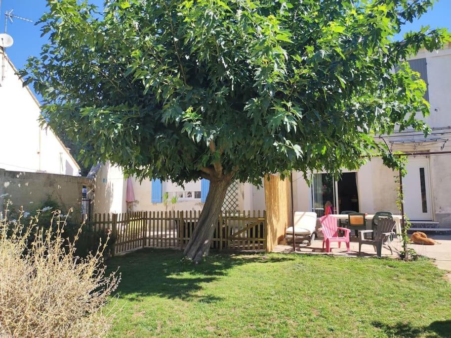 Mas Provencal Au Coeur Des Vergers Vallabrègues Exterior foto